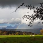 Rachel Draper Memorial Walk